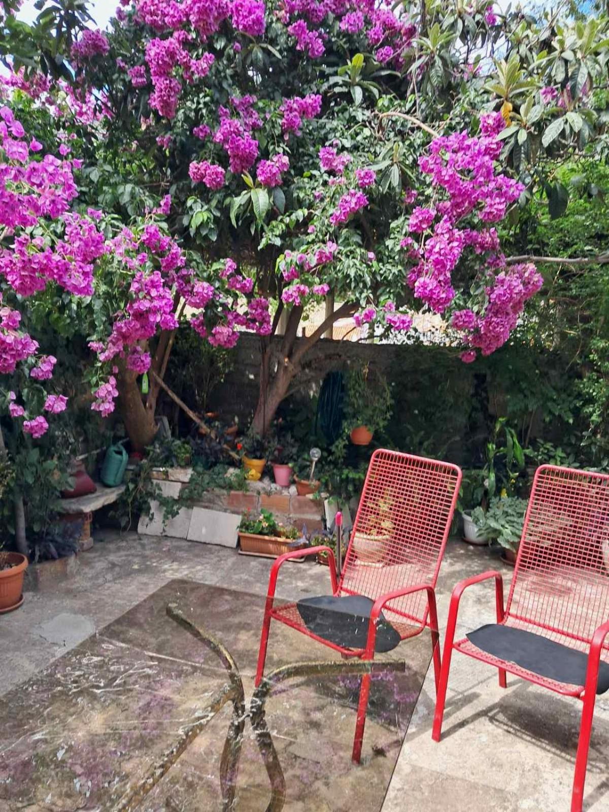 Old Town Green Oasis House Dubrovnik Eksteriør bilde